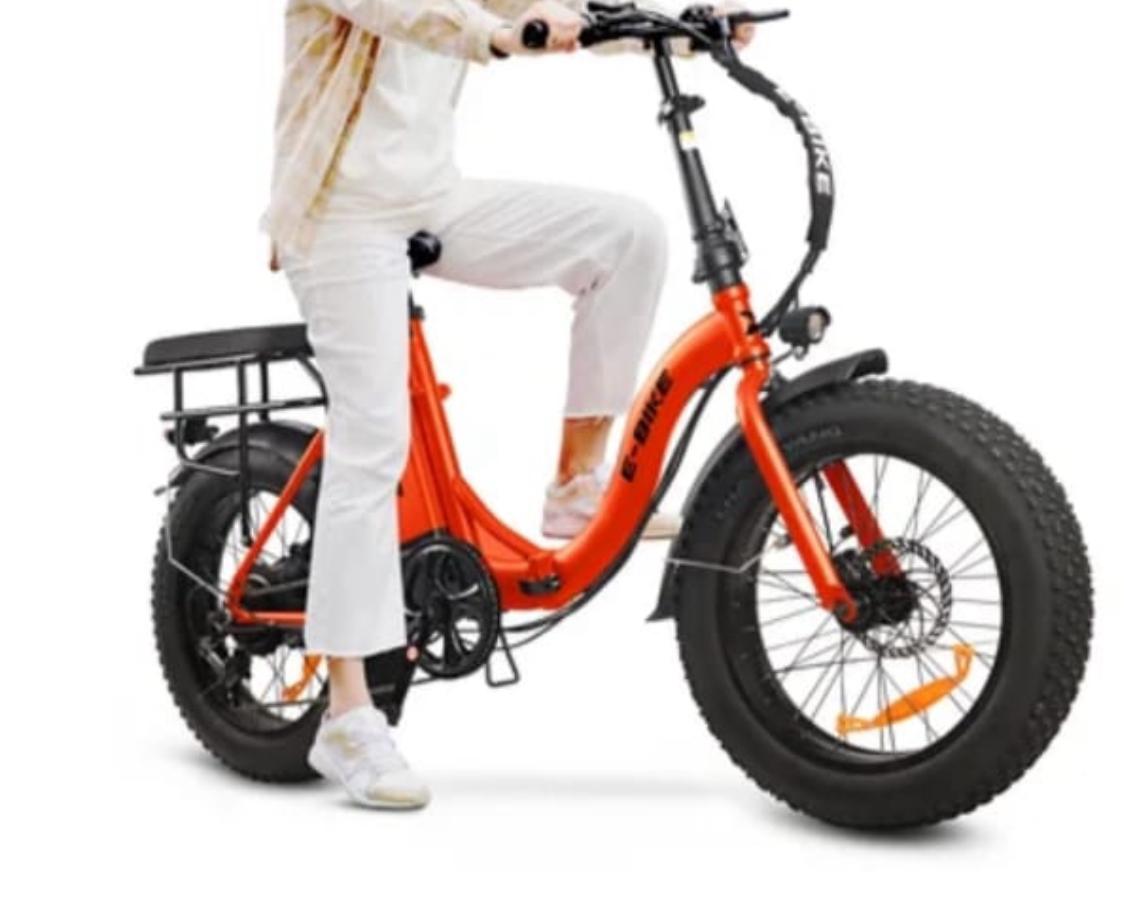 Electric Bike EGYX02- Orange,gray Black